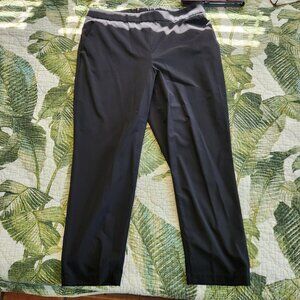 Banana Republic Hayden Slacks